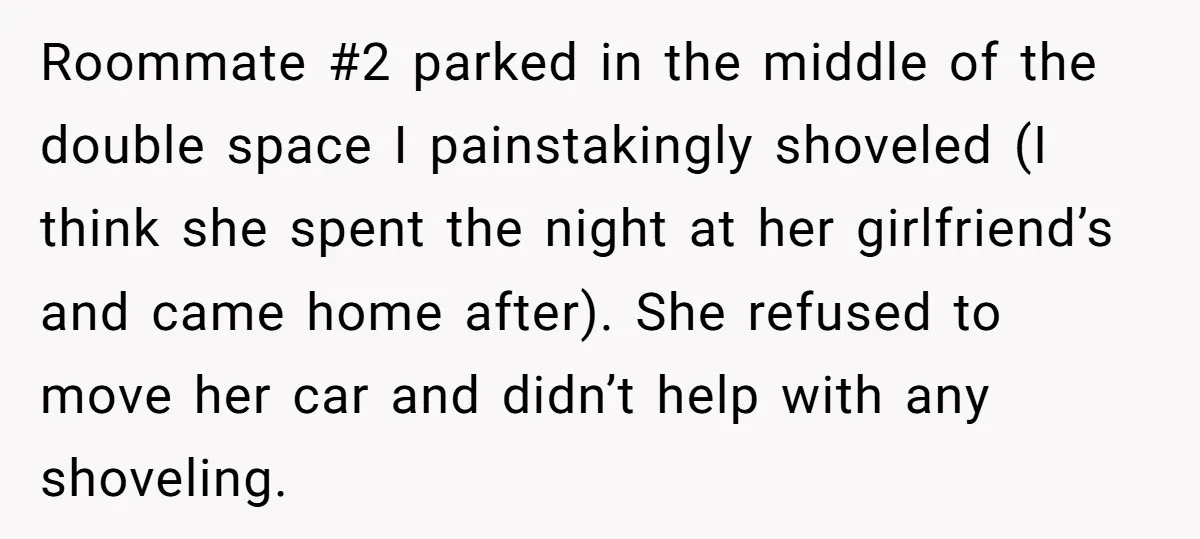 Roommate #2 parked in the middle of the double space I painstakingly shoveled (I think she spent the night at her girlfriend’s and came home after). She refused to move...