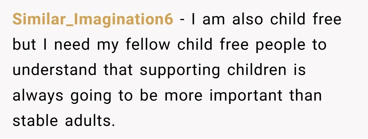 Similar_Imagination6 − I am also child free but I need my fellow child free people to understand that supporting children is always going to be more important than stable adults.