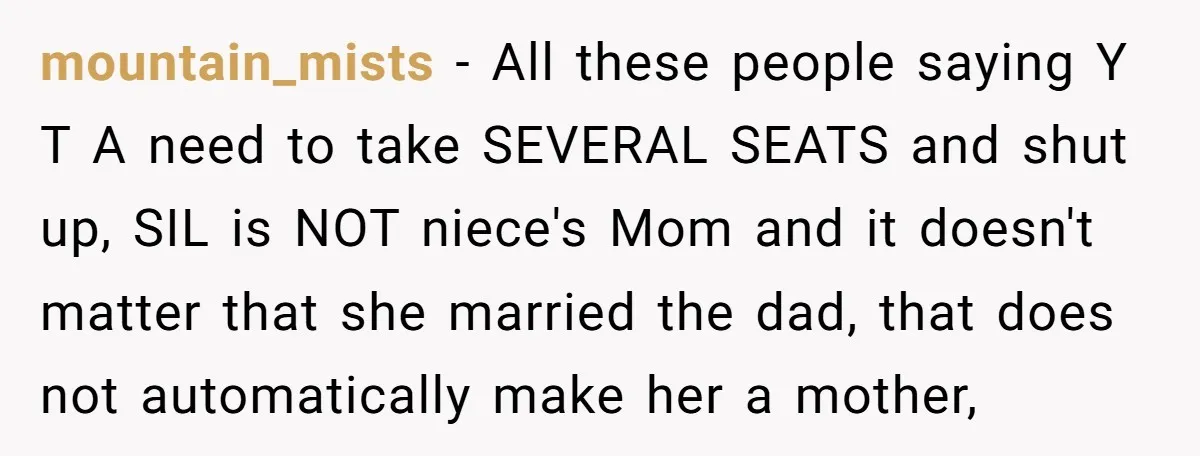 mountain_mists − All these people saying Y T A need to take SEVERAL SEATS and shut up, SIL is NOT niece's Mom and it doesn't matter that she married the...