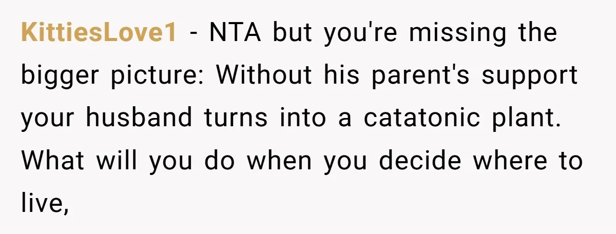 KittiesLove1 − NTA but you're missing the bigger picture: Without his parent's support your husband turns into a catatonic plant. What will you do when you decide where to live,