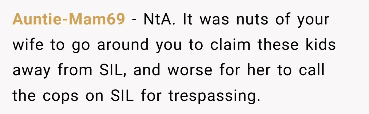 Auntie-Mam69 - NtA. It was nuts of your wife to go around you to claim these kids away from SIL, and worse for her to call the cops on SIL...
