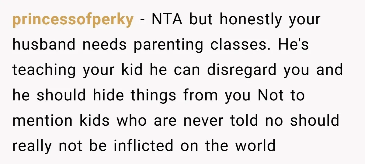 princessofperky − NTA but honestly your husband needs parenting classes. He's teaching your kid he can disregard you and he should hide things from you Not to mention kids who...