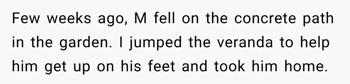 Few weeks ago, M fell on the concrete path in the garden. I jumped the veranda to help him get up on his feet and took him home.