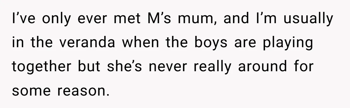 I’ve only ever met M’s mum, and I’m usually in the veranda when the boys are playing together but she’s never really around for some reason.