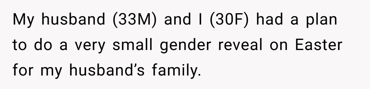 My husband (33M) and I (30F) had a plan to do a very small gender reveal on Easter for my husband’s family.
