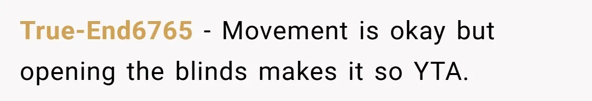 True-End6765 − Movement is okay but opening the blinds makes it so YTA.