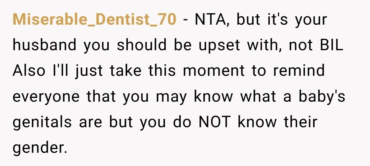Miserable_Dentist_70 − NTA, but it's your husband you should be upset with, not BIL Also I'll just take this moment to remind everyone that you may know what a baby's...