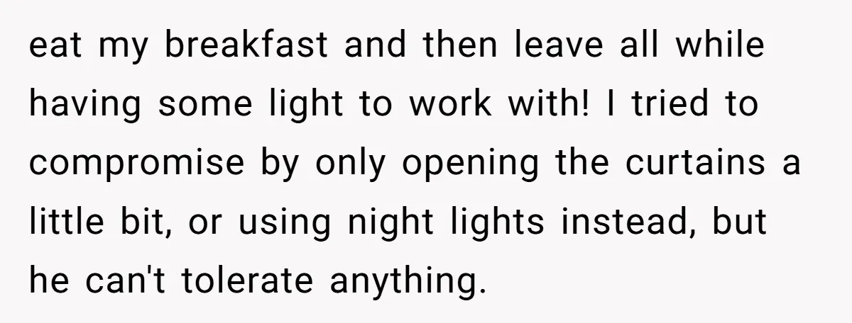 eat my breakfast and then leave all while having some light to work with! I tried to compromise by only opening the curtains a little bit, or using night lights...