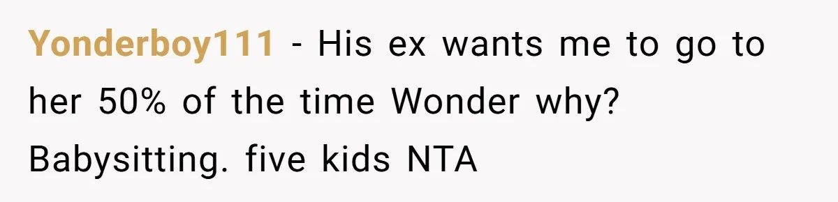 Yonderboy111 − His ex wants me to go to her 50% of the time Wonder why? Babysitting. five kids NTA
