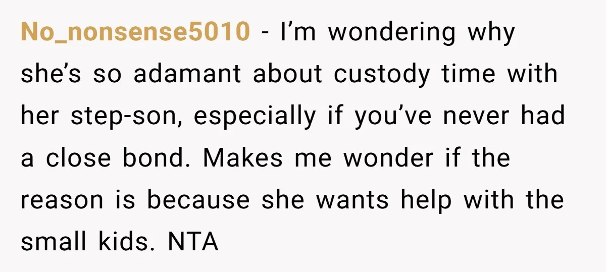 No_nonsense5010 − I’m wondering why she’s so adamant about custody time with her step-son, especially if you’ve never had a close bond. Makes me wonder if the reason is because...