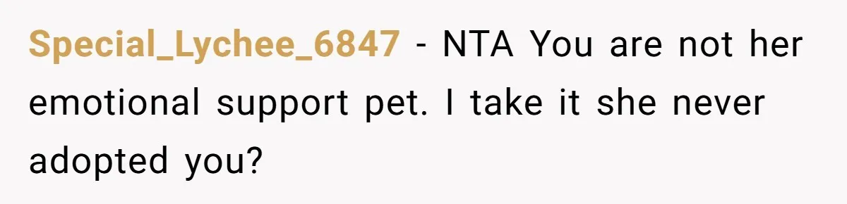 Special_Lychee_6847 − NTA You are not her emotional support pet. I take it she never adopted you?