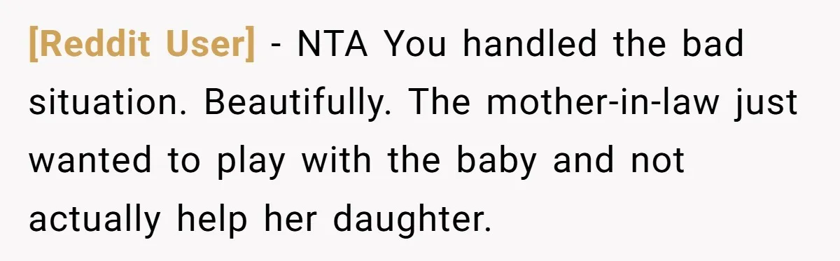 [Reddit User] − NTA You handled the bad situation. Beautifully. The mother-in-law just wanted to play with the baby and not actually help her daughter.
