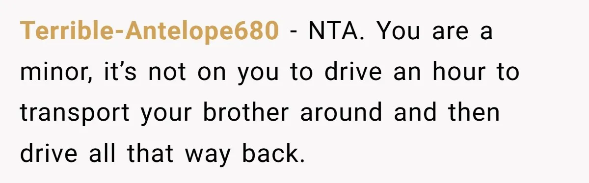 Terrible-Antelope680 − NTA. You are a minor, it’s not on you to drive an hour to transport your brother around and then drive all that way back.