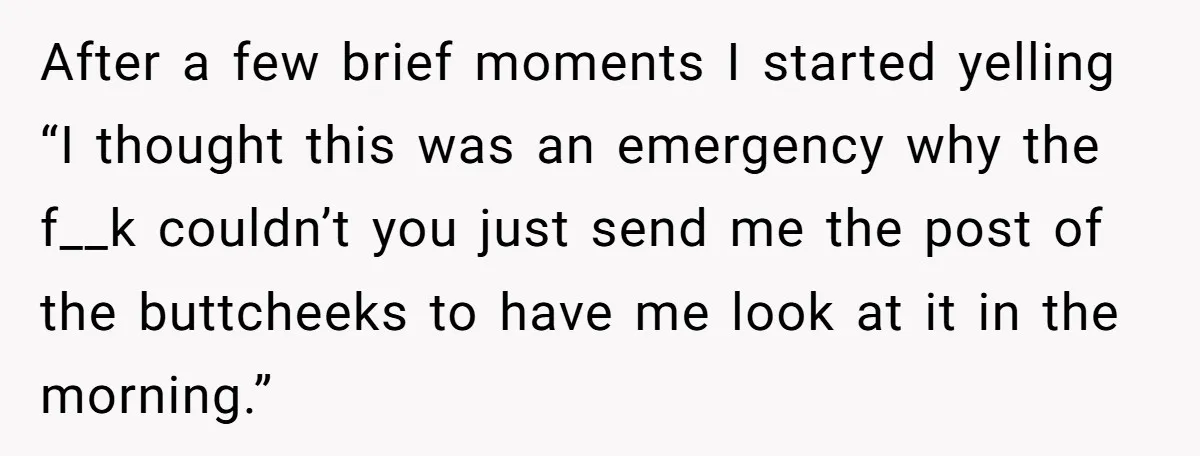 After a few brief moments I started yelling “I thought this was an emergency why the f__k couldn’t you just send me the post of the buttcheeks to have me...