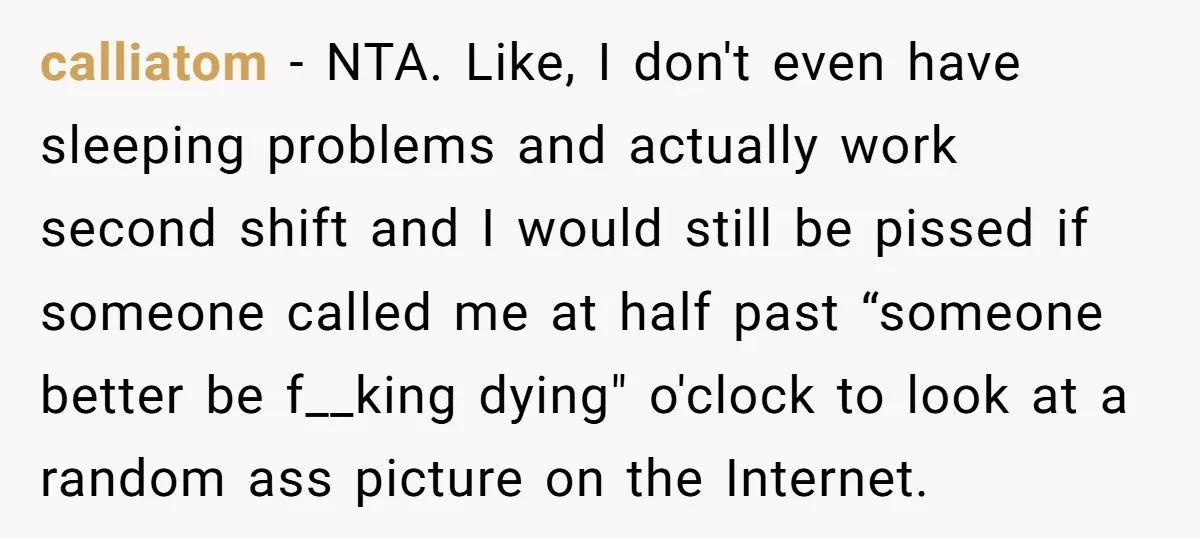 calliatom − NTA. Like, I don't even have sleeping problems and actually work second shift and I would still be pissed if someone called me at half past “someone better...