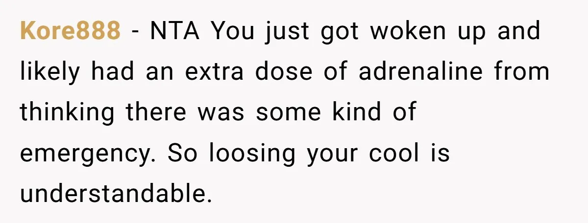 Kore888 − NTA You just got woken up and likely had an extra dose of adrenaline from thinking there was some kind of emergency. So loosing your cool is understandable.