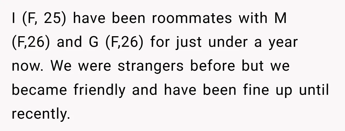 I (F, 25) have been roommates with M (F,26) and G (F,26) for just under a year now. We were strangers before but we became friendly and have been fine...