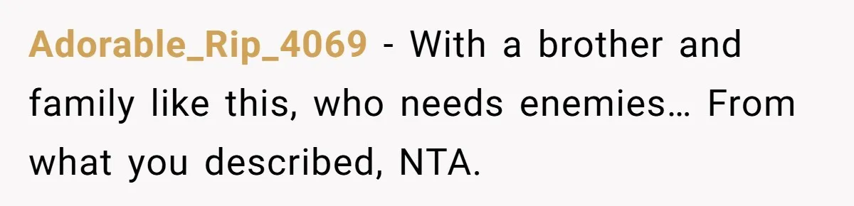 Adorable_Rip_4069 − With a brother and family like this, who needs enemies… From what you described, NTA.