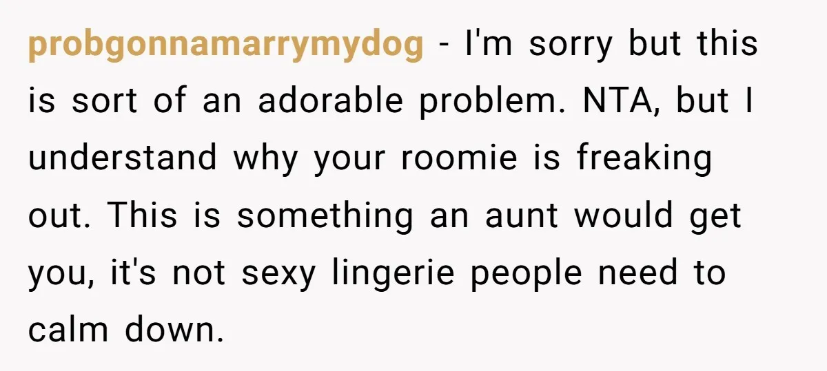 probgonnamarrymydog − I'm sorry but this is sort of an adorable problem. NTA, but I understand why your roomie is freaking out. This is something an aunt would get you,...