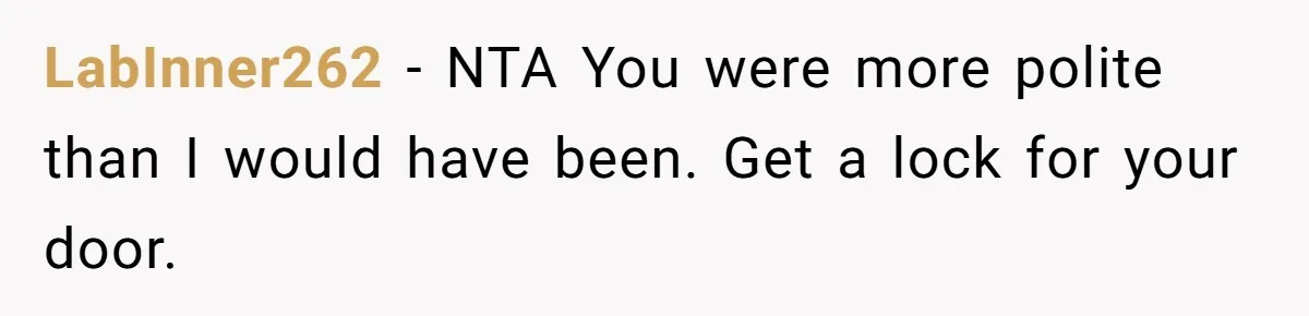 LabInner262 − NTA You were more polite than I would have been. Get a lock for your door.