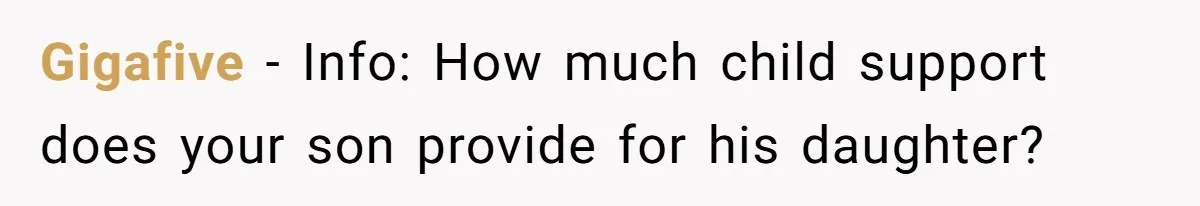 Gigafive − Info: How much child support does your son provide for his daughter?