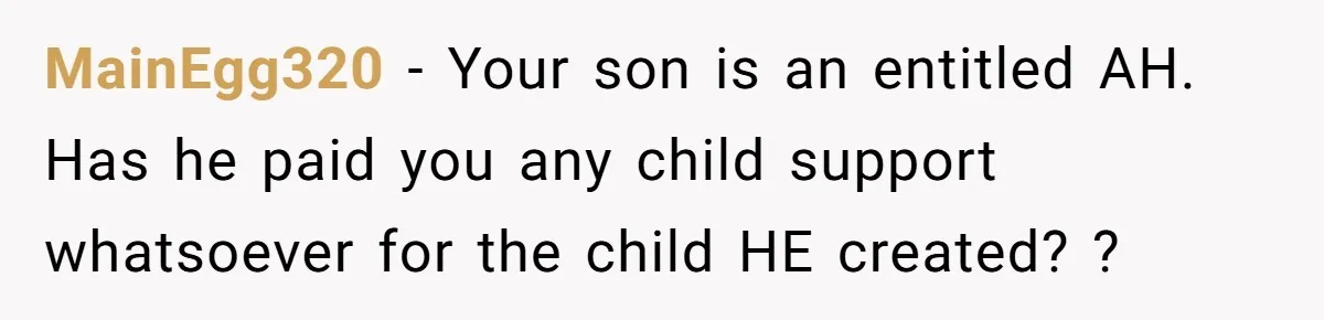 MainEgg320 − Your son is an entitled AH. Has he paid you any child support whatsoever for the child HE created? ?