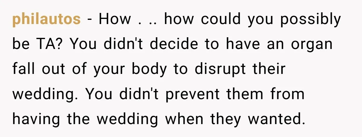 philautos − How . .. how could you possibly be TA? You didn't decide to have an organ fall out of your body to disrupt their wedding. You didn't prevent...