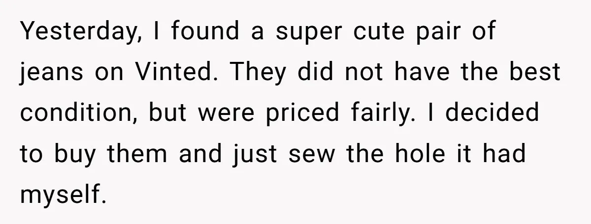 Yesterday, I found a super cute pair of jeans on Vinted. They did not have the best condition, but were priced fairly. I decided to buy them and just sew...