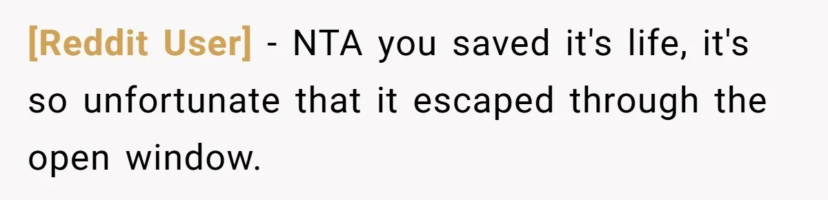 [Reddit User] - NTA you saved it's life, it's so unfortunate that it escaped through the open window.
