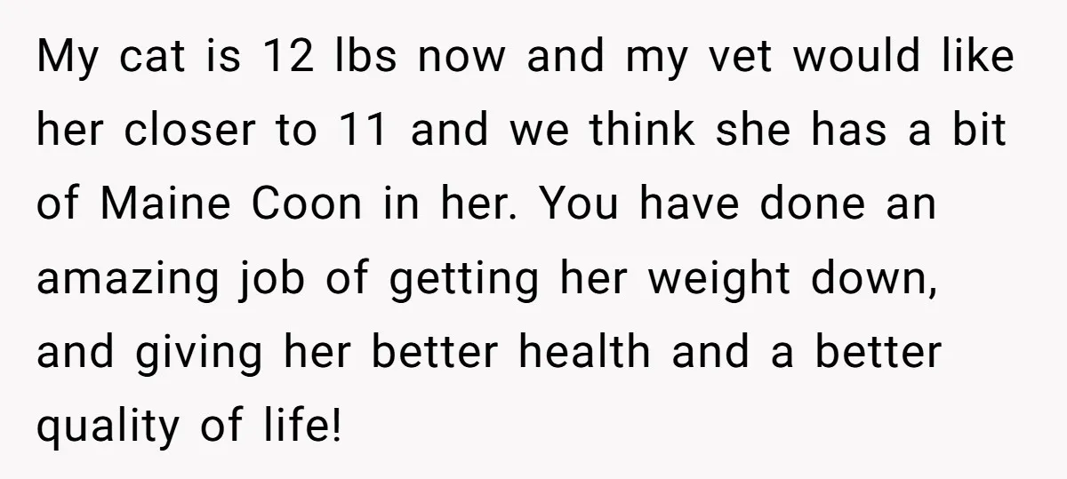 My cat is 12 lbs now and my vet would like her closer to 11 and we think she has a bit of Maine Coon in her. You have done...