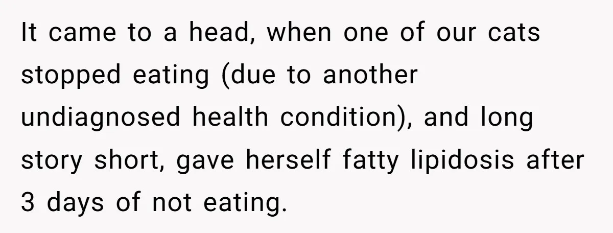 It came to a head, when one of our cats stopped eating (due to another undiagnosed health condition), and long story short, gave herself fatty lipidosis after 3 days of...