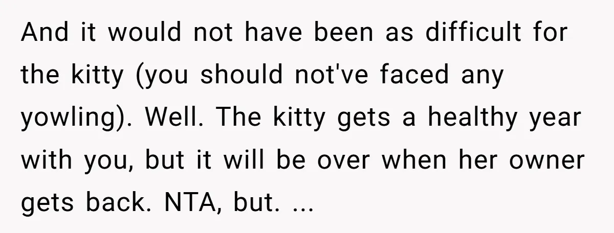 And it would not have been as difficult for the kitty (you should not've faced any yowling). Well. The kitty gets a healthy year with you, but it will be...