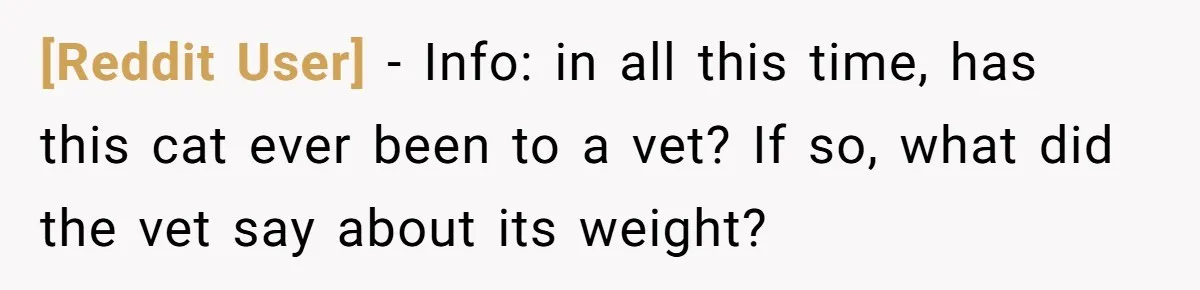 [Reddit User] - Info: in all this time, has this cat ever been to a vet? If so, what did the vet say about its weight?