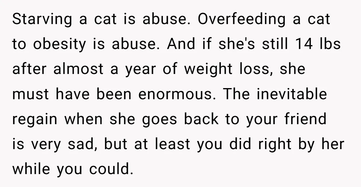 Starving a cat is abuse. Overfeeding a cat to obesity is abuse. And if she's still 14 lbs after almost a year of weight loss, she must have been enormous....