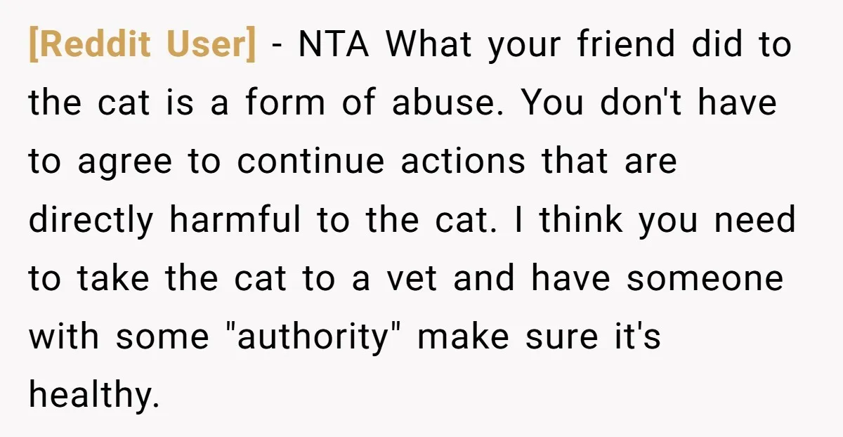 [Reddit User] - NTA What your friend did to the cat is a form of abuse. You don't have to agree to continue actions that are directly harmful to the...