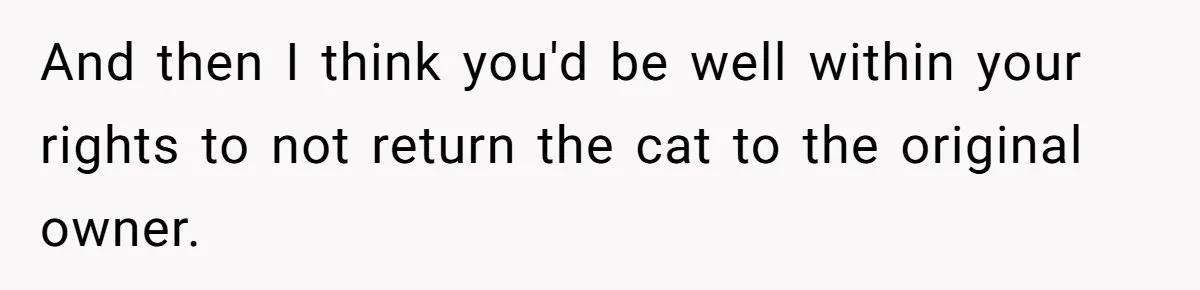 And then I think you'd be well within your rights to not return the cat to the original owner.