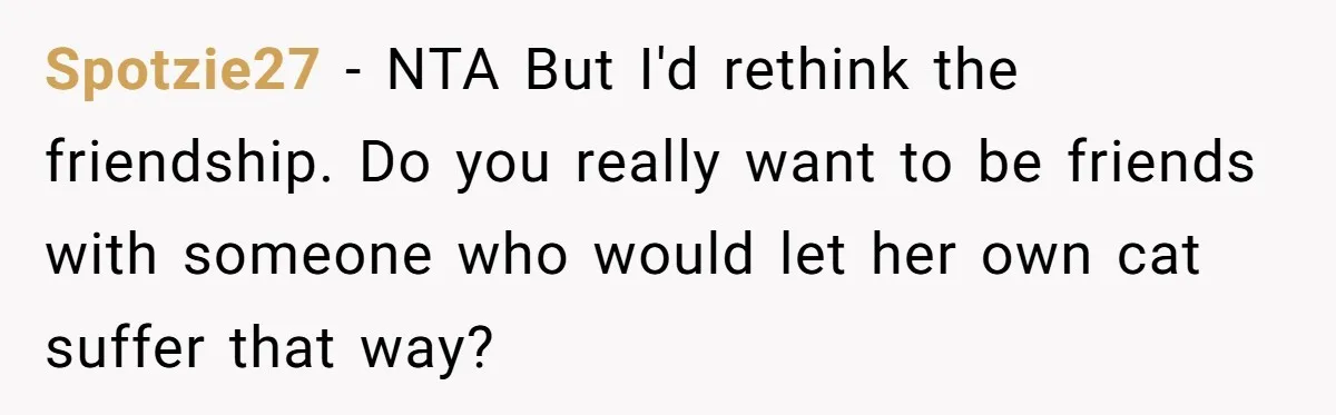 Spotzie27 - NTA But I'd rethink the friendship. Do you really want to be friends with someone who would let her own cat suffer that way?