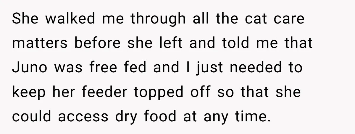 She walked me through all the cat care matters before she left and told me that Juno was free fed and I just needed to keep her feeder topped off...