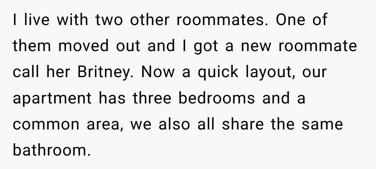 I live with two other roommates. One of them moved out and I got a new roommate call her Britney. Now a quick layout, our apartment has three bedrooms and...