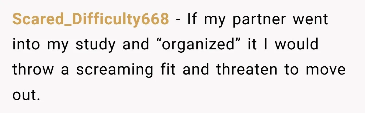 Scared_Difficulty668 − If my partner went into my study and “organized” it I would throw a screaming fit and threaten to move out.