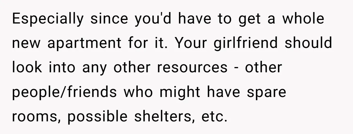 Especially since you'd have to get a whole new apartment for it. Your girlfriend should look into any other resources - other people/friends who might have spare rooms, possible shelters,...