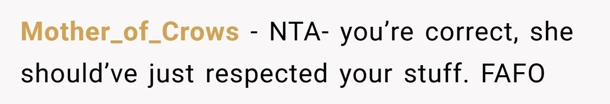 Mother_of_Crows − NTA- you’re correct, she should’ve just respected your stuff. FAFO