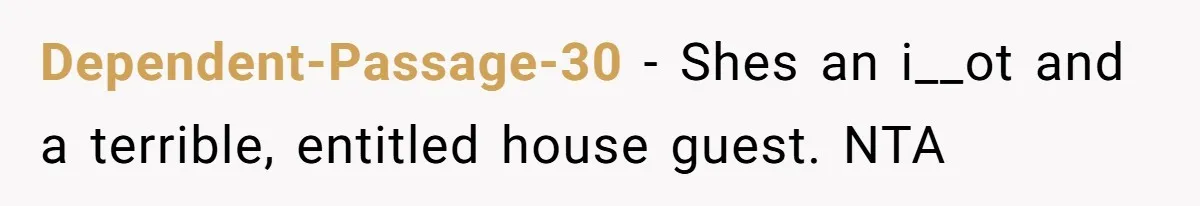 Dependent-Passage-30 − Shes an i__ot and a terrible, entitled house guest. NTA