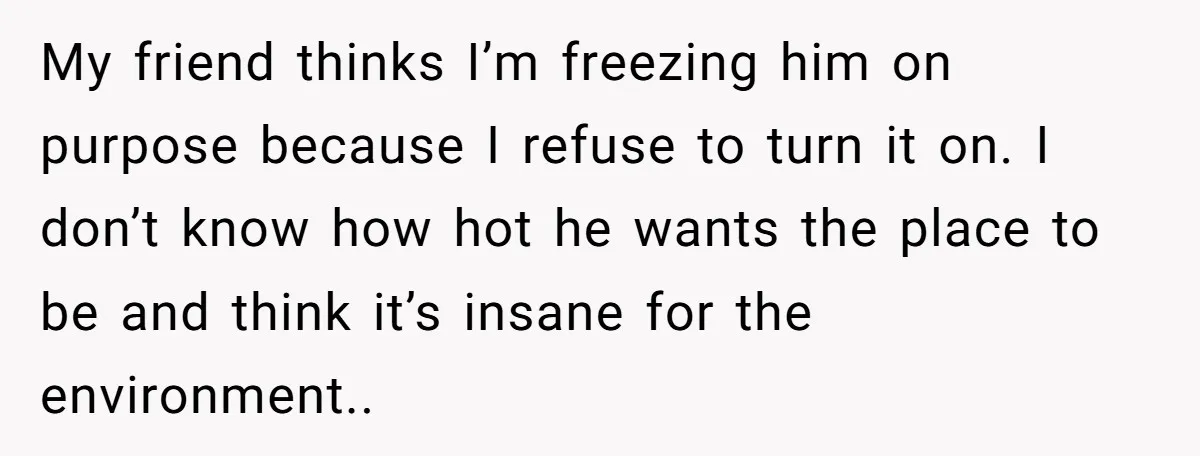 My friend thinks I’m freezing him on purpose because I refuse to turn it on. I don’t know how hot he wants the place to be and think it’s insane...