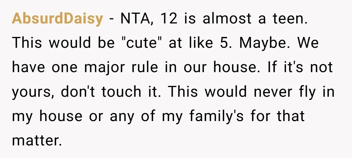 AbsurdDaisy − NTA, 12 is almost a teen. This would be "cute" at like 5. Maybe. We have one major rule in our house. If it's not yours, don't touch...