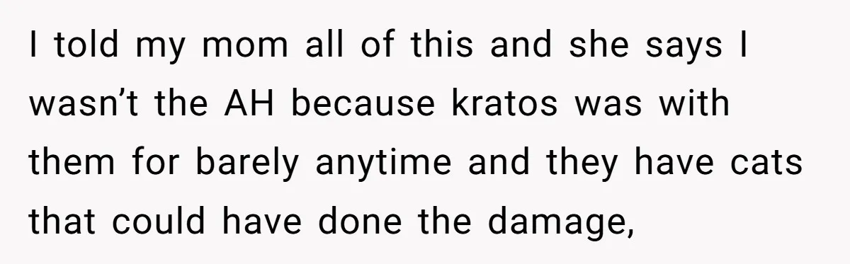 I told my mom all of this and she says I wasn’t the AH because kratos was with them for barely anytime and they have cats that could have done...