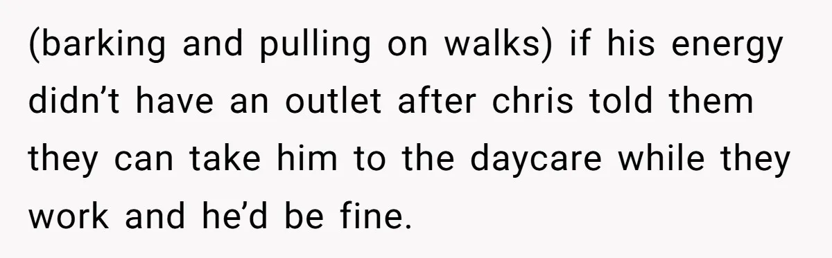 (barking and pulling on walks) if his energy didn’t have an outlet after chris told them they can take him to the daycare while they work and he’d be fine.