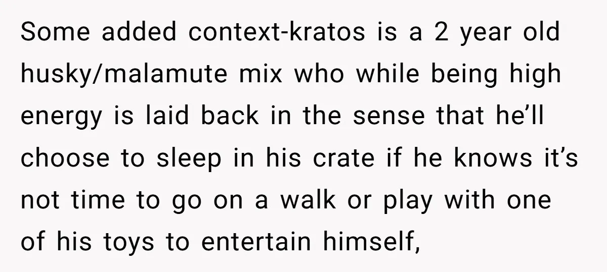Some added context-kratos is a 2 year old husky/malamute mix who while being high energy is laid back in the sense that he’ll choose to sleep in his crate if...