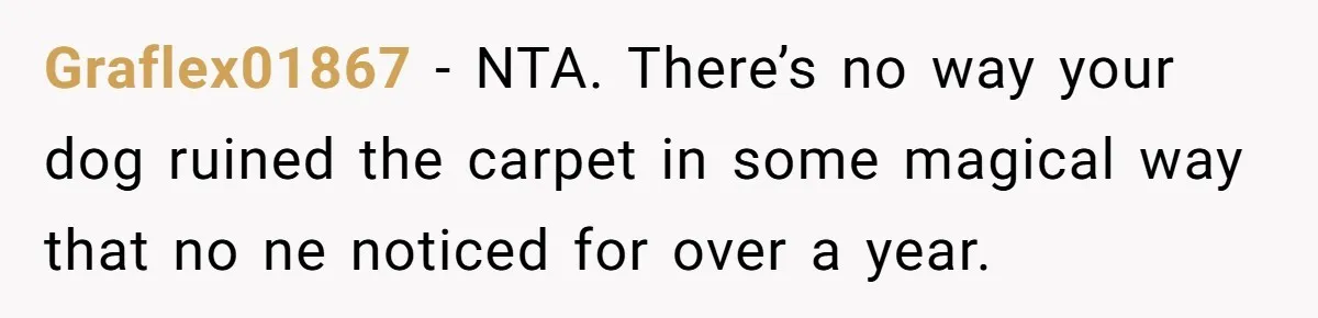 Graflex01867 − NTA. There’s no way your dog ruined the carpet in some magical way that no ne noticed for over a year.