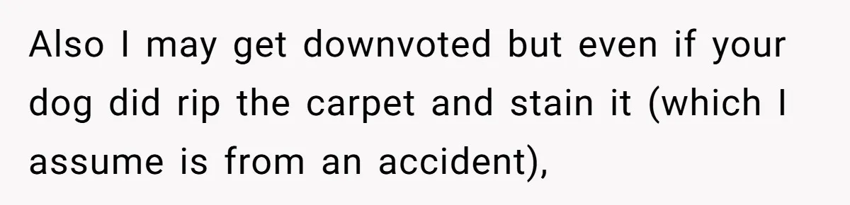 Also I may get downvoted but even if your dog did rip the carpet and stain it (which I assume is from an accident),